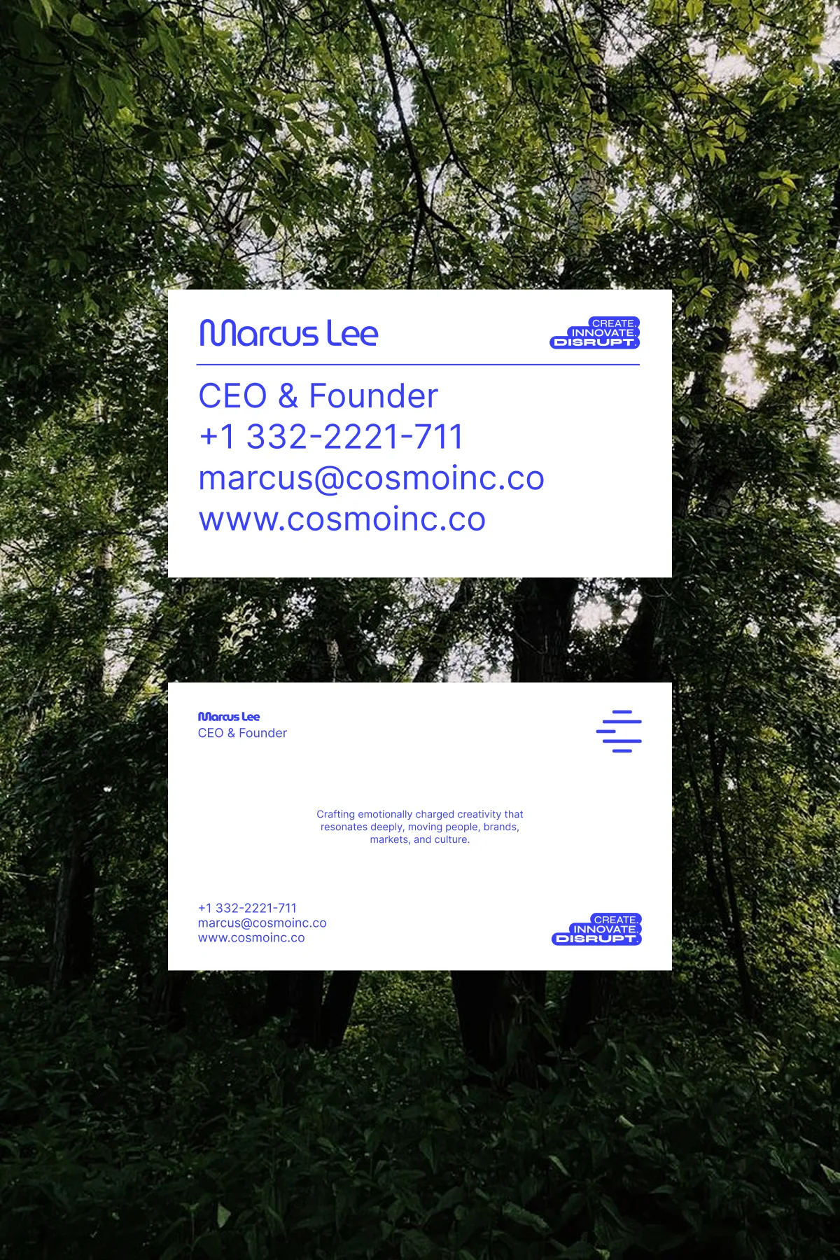 Business Card Exploration, image 15