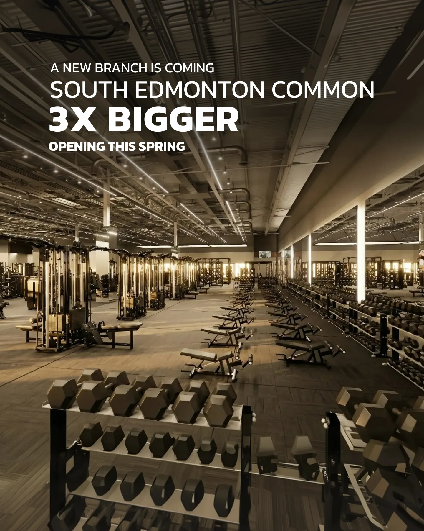 Evolve Strength Ads, 4:5, image 1