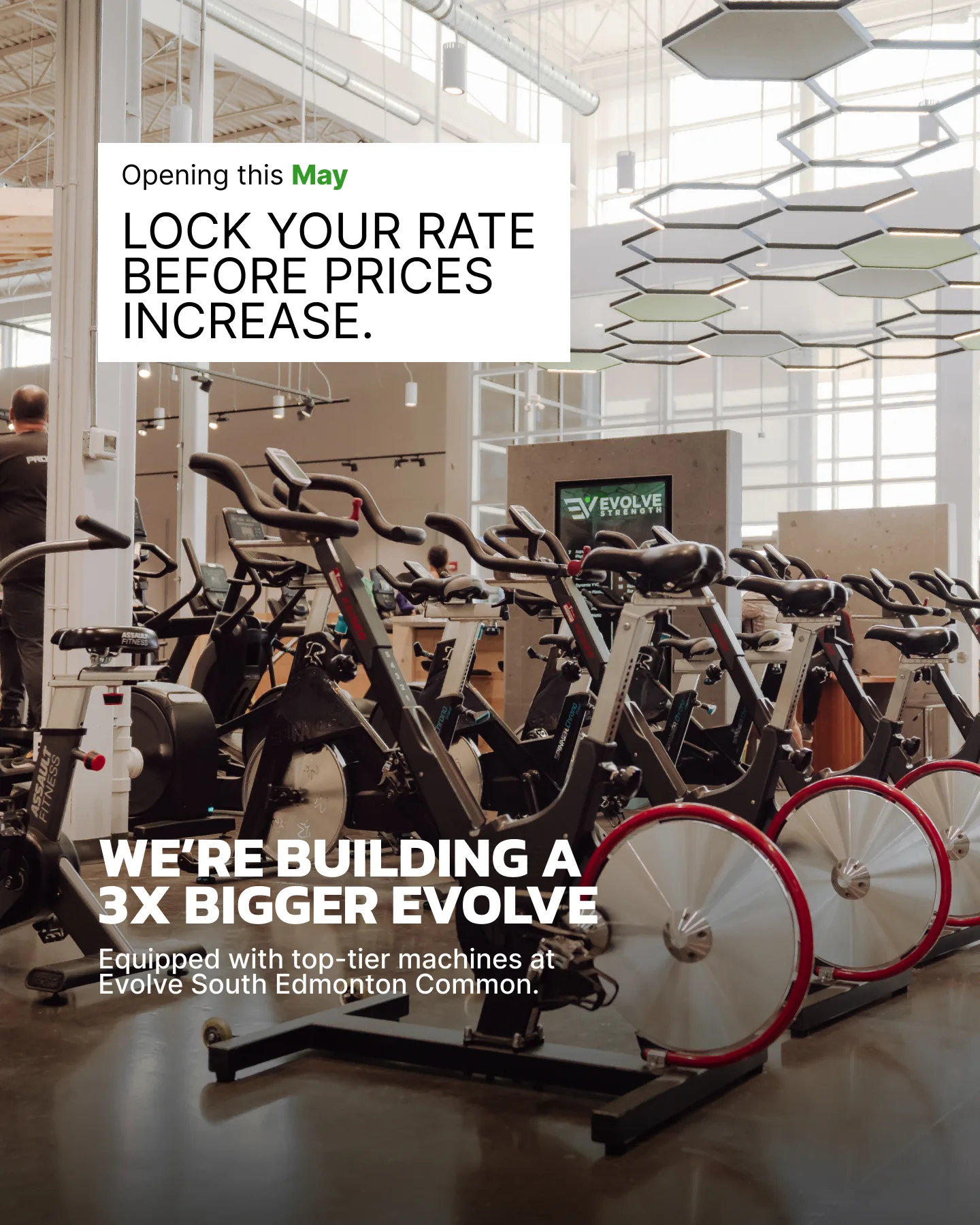 Evolve Strength Ads, 4:5, image 8
