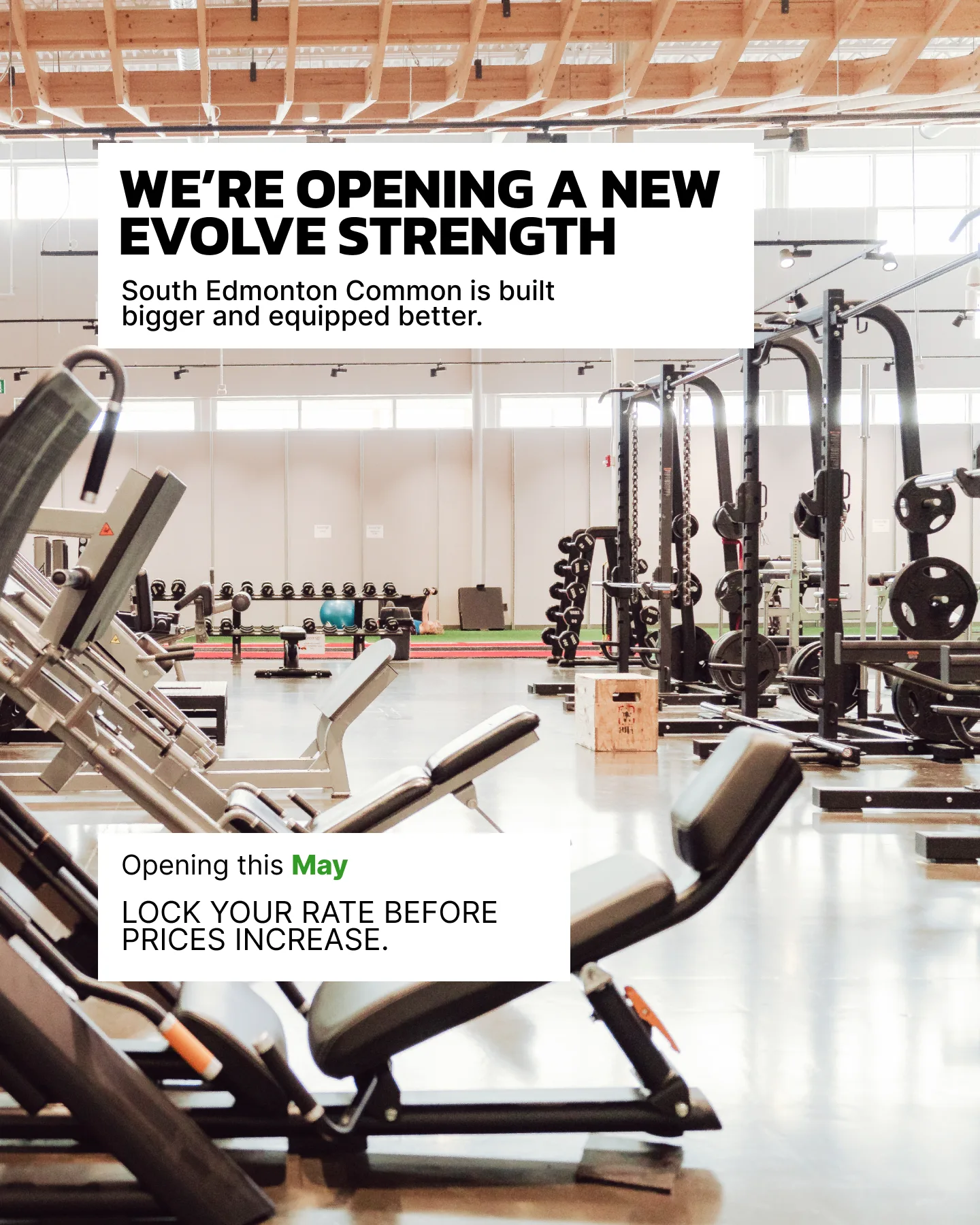 Evolve Strength Ads, 4:5, image 11