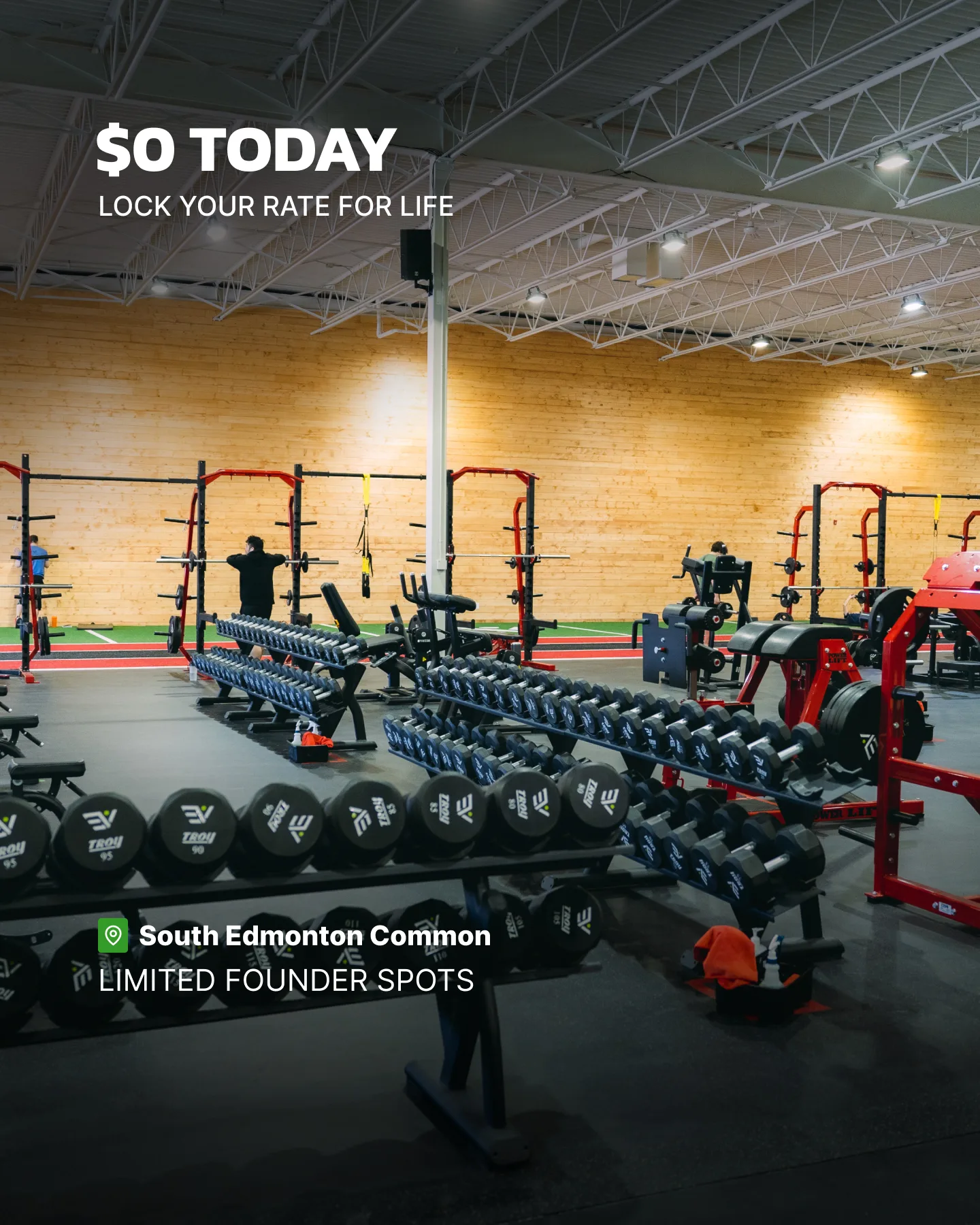 Evolve Strength Ads, 4:5, image 14