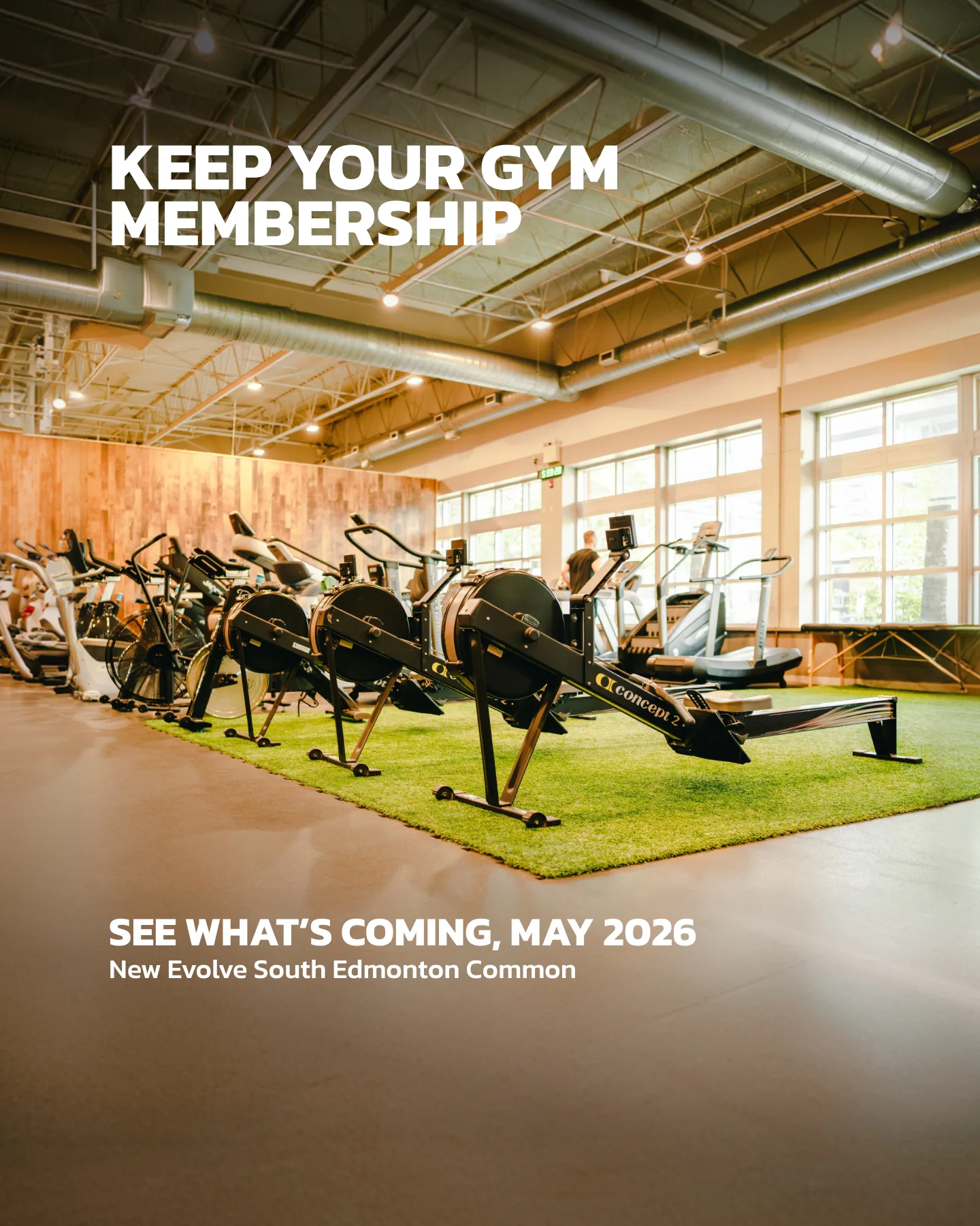 Evolve Strength Ads, 4:5, image 16