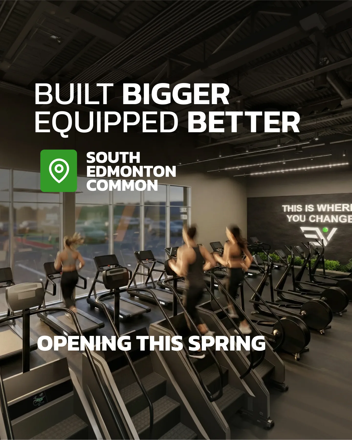 Evolve Strength Ads, 4:5, image 23