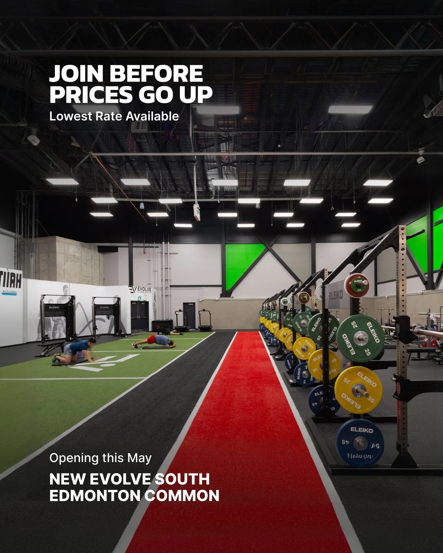 Evolve Strength Ads, 4:5, image 25