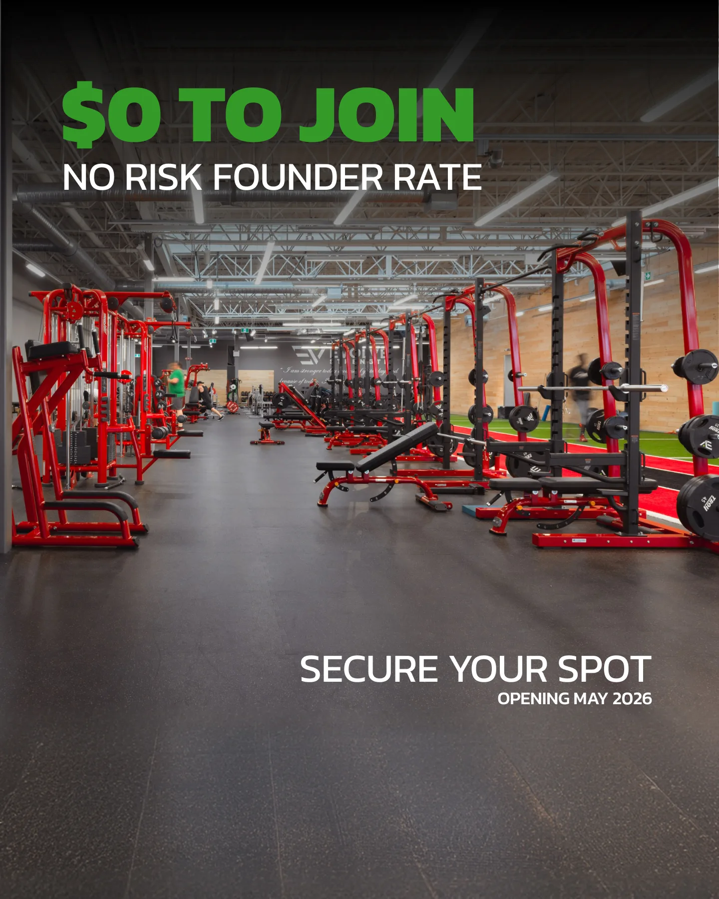 Evolve Strength Ads, 4:5, image 29