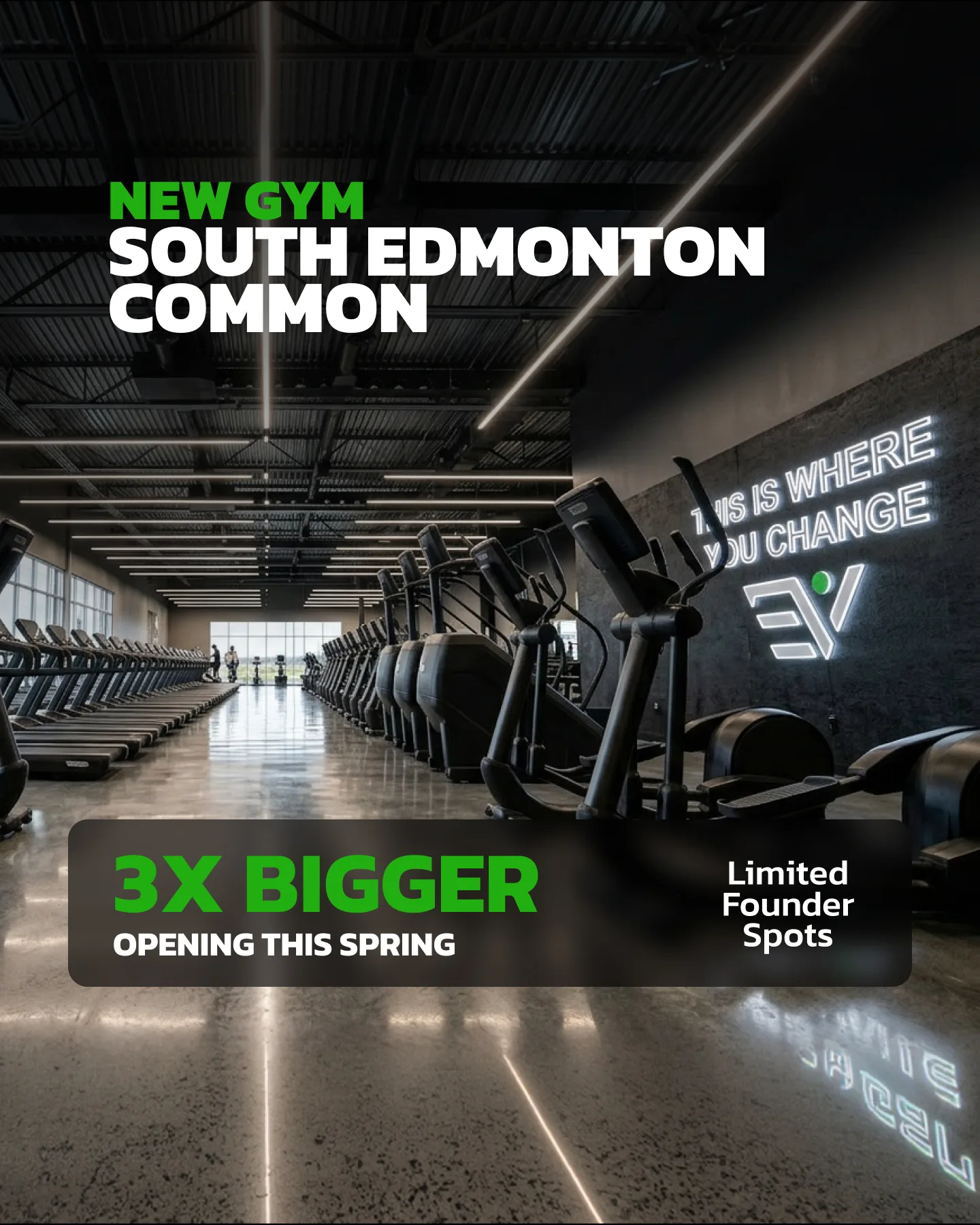 Evolve Strength Ads, 4:5, image 34