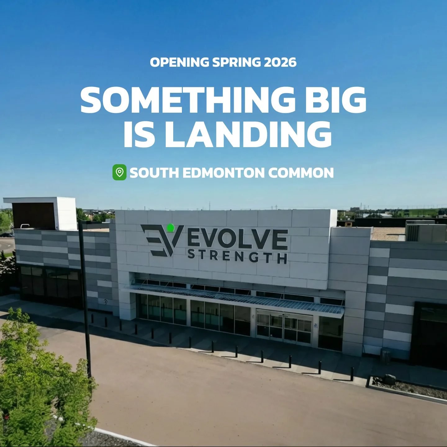 Evolve Strength Ads, 1:1, image 3