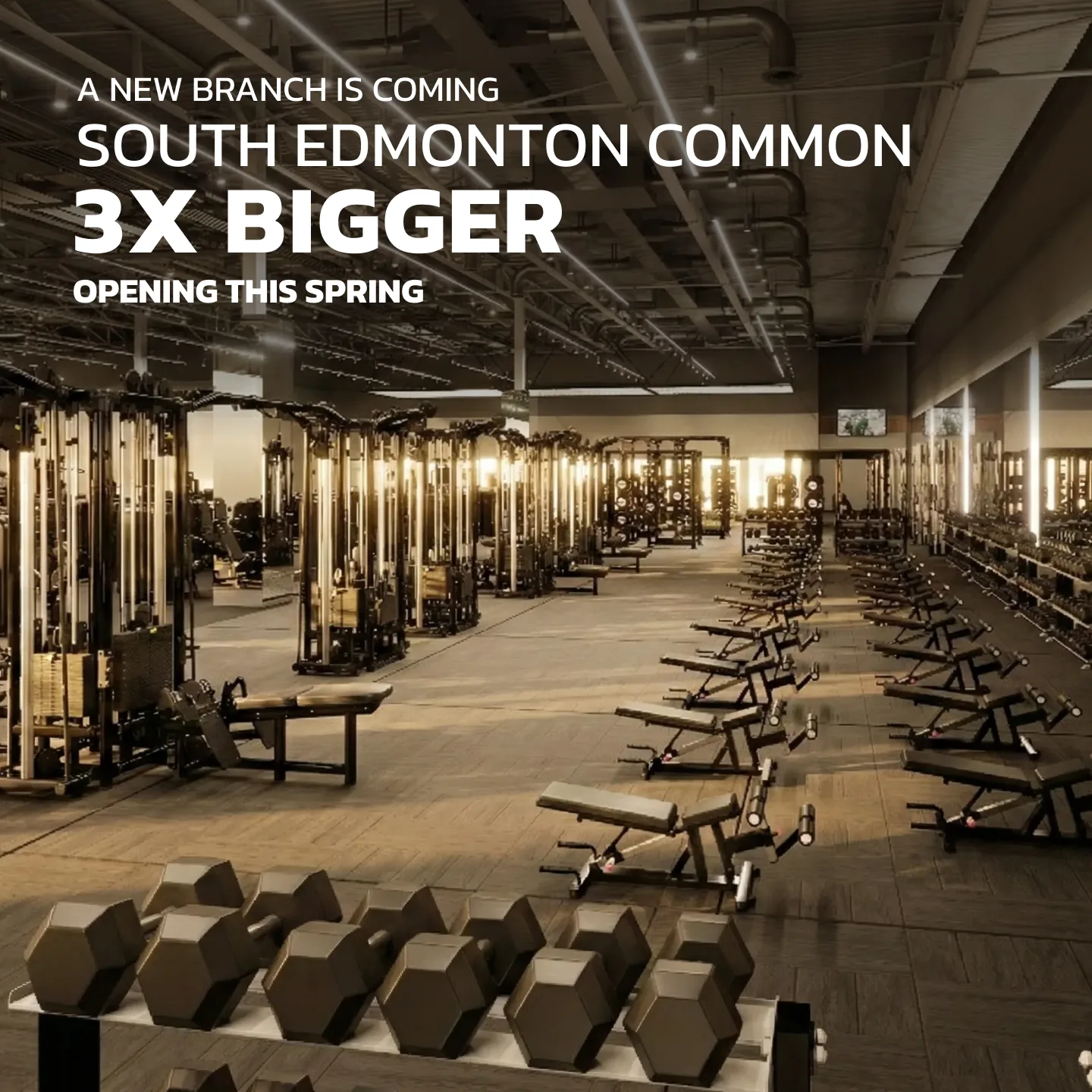 Evolve Strength Ads, 1:1, image 4