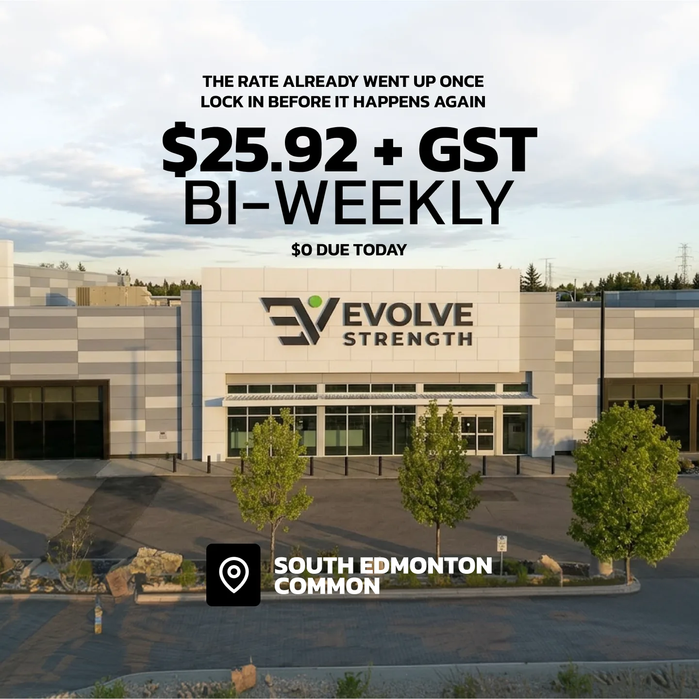 Evolve Strength Ads, 1:1, image 8