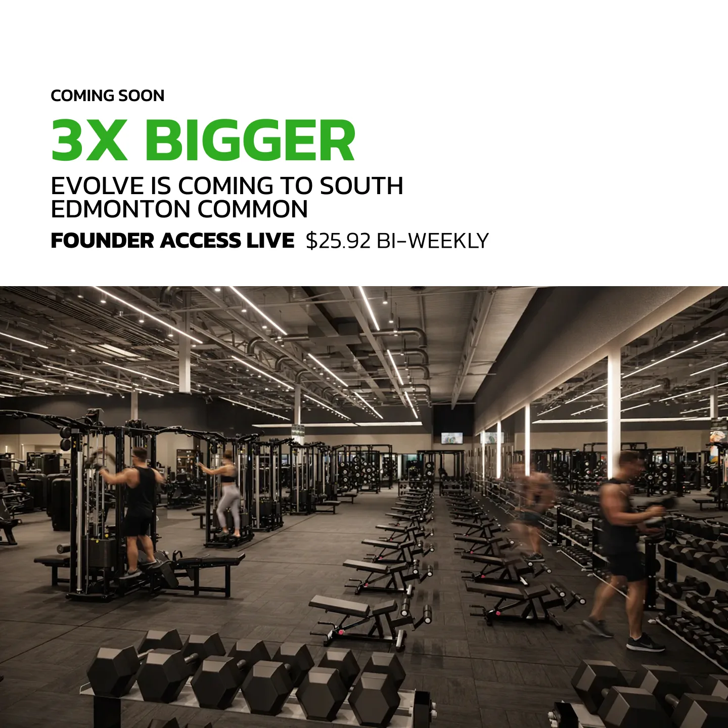 Evolve Strength Ads, 1:1, image 10