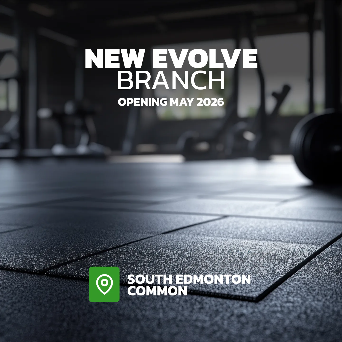 Evolve Strength Ads, 1:1, image 15