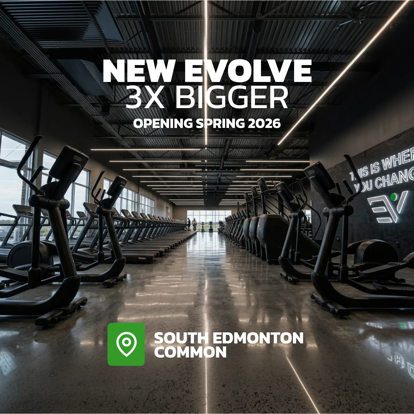 Evolve Strength Ads, 1:1, image 16