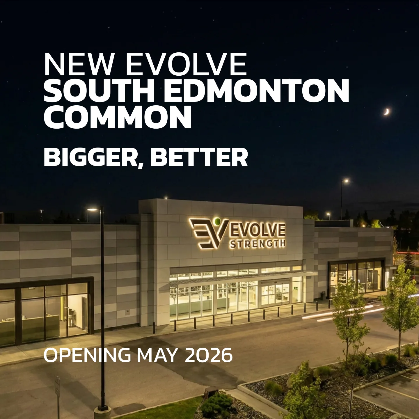 Evolve Strength Ads, 1:1, image 17