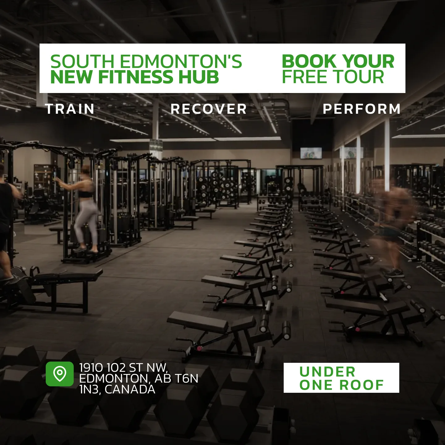 Evolve Strength Ads, 1:1, image 20