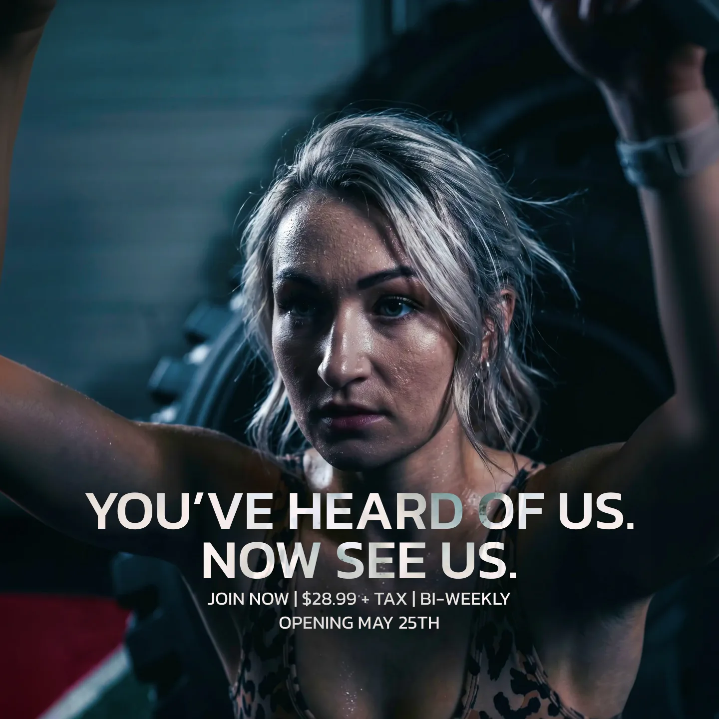 Evolve Strength Ads, 1:1, image 23
