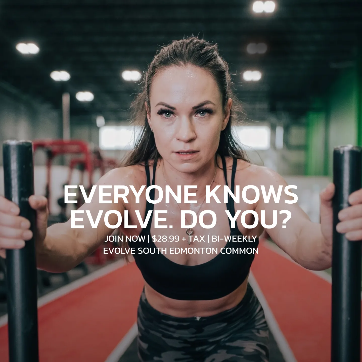Evolve Strength Ads, 1:1, image 24