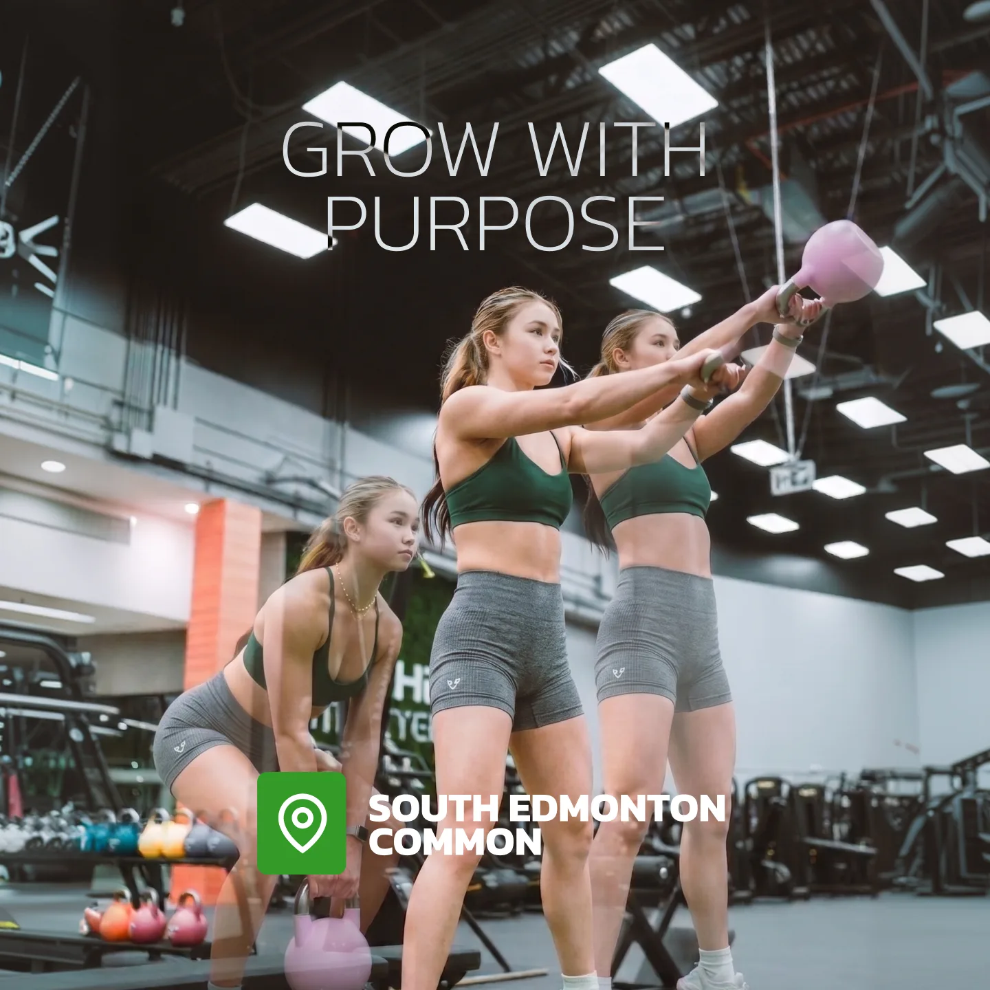Evolve Strength Ads, 1:1, image 26