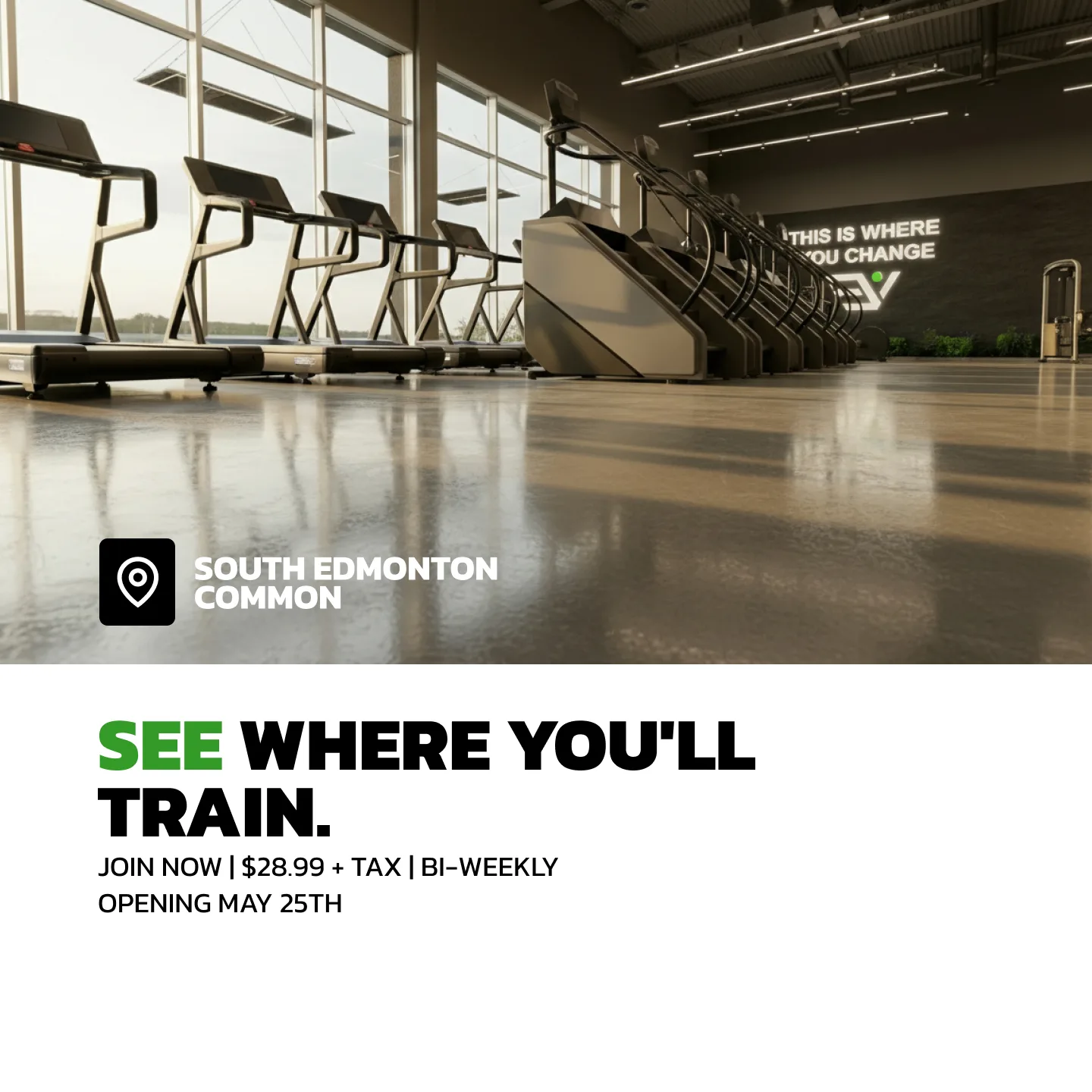 Evolve Strength Ads, 1:1, image 27