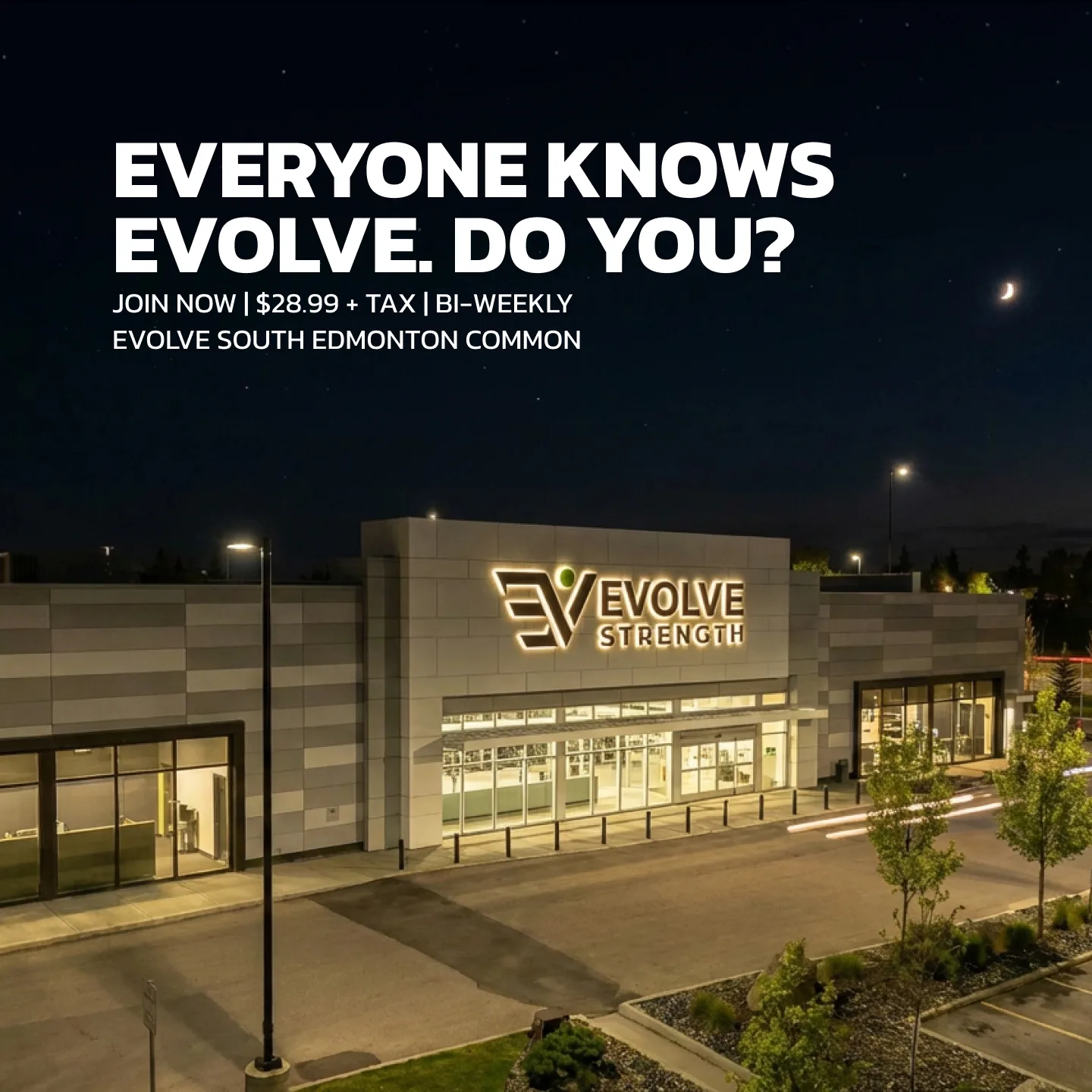 Evolve Strength Ads, 1:1, image 28