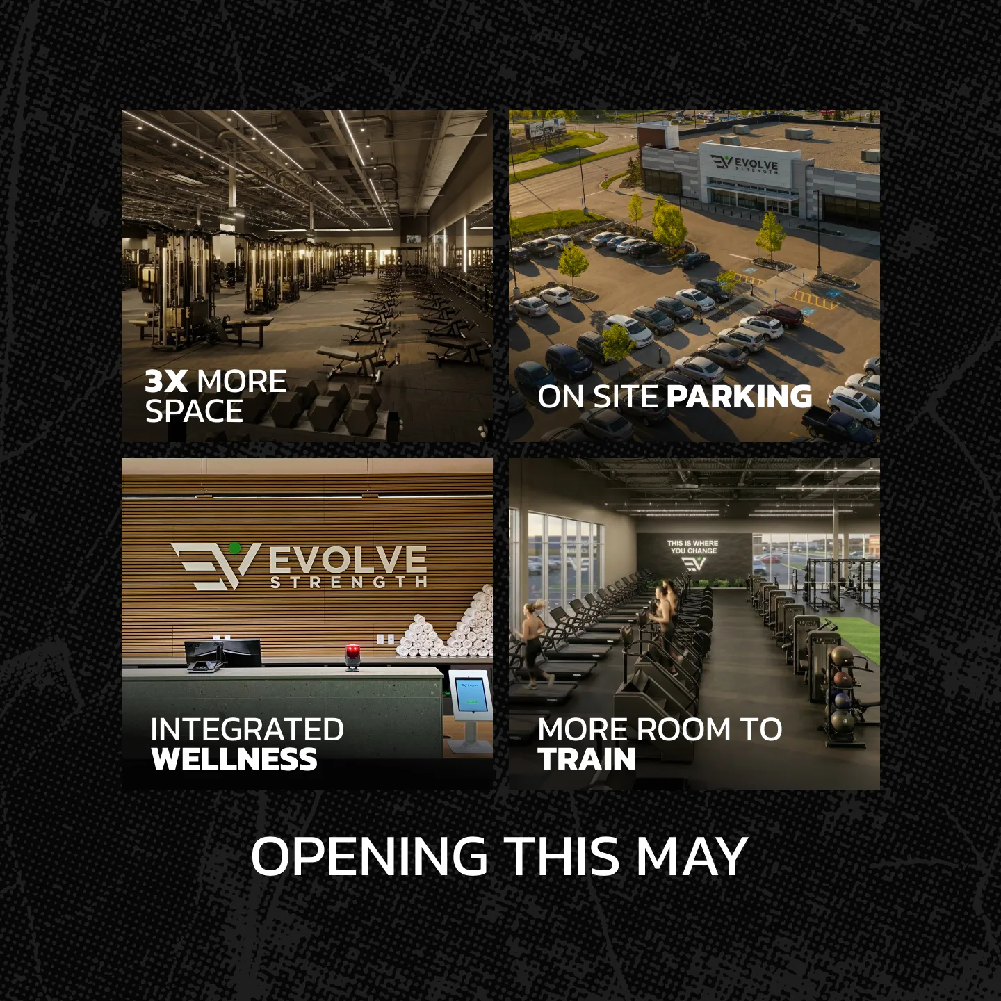 Evolve Strength Ads, 1:1, image 29