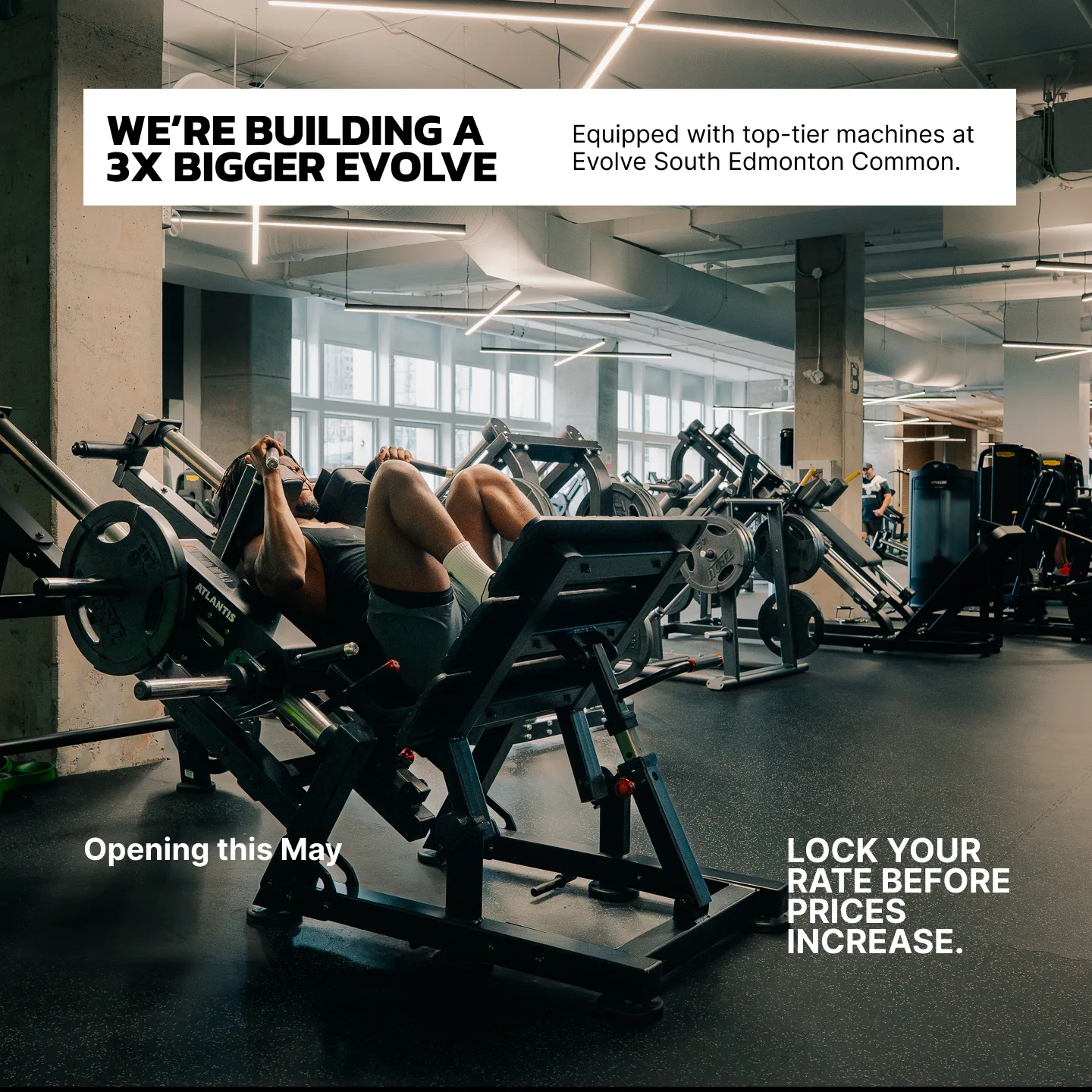 Evolve Strength Ads, 1:1, image 30