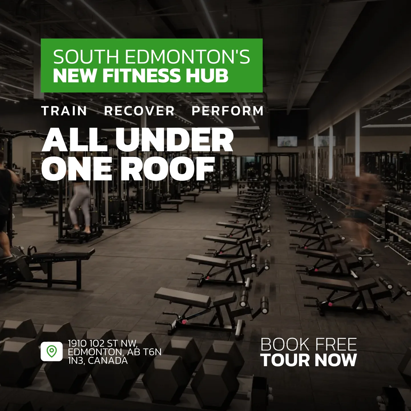 Evolve Strength Ads, 1:1, image 31