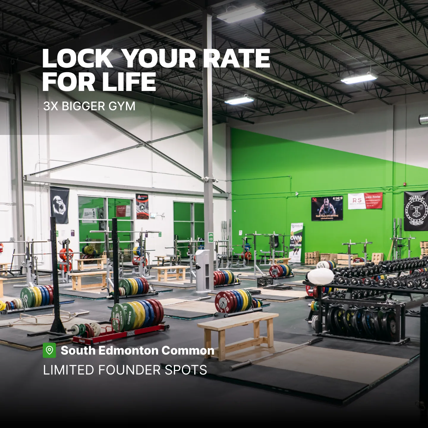 Evolve Strength Ads, 1:1, image 32