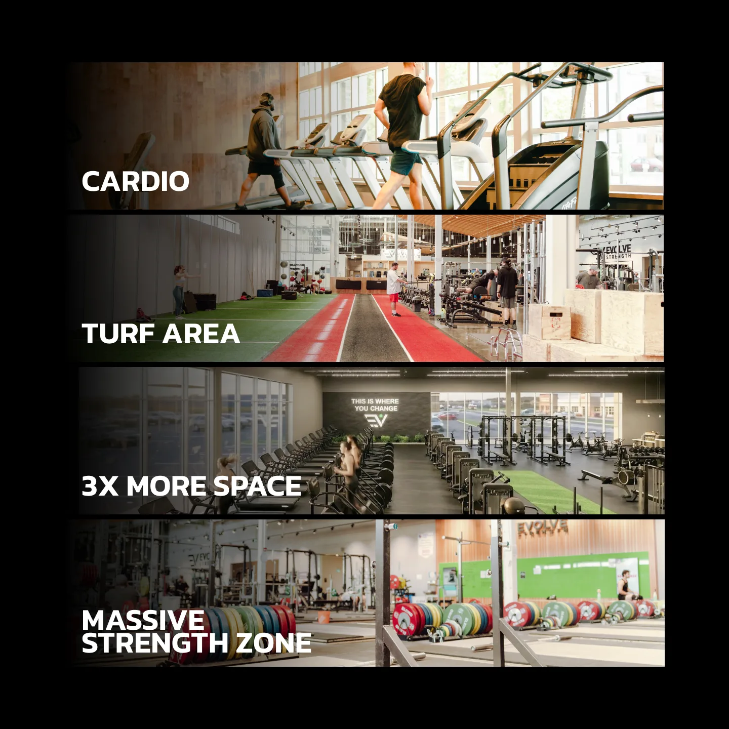 Evolve Strength Ads, 1:1, image 33
