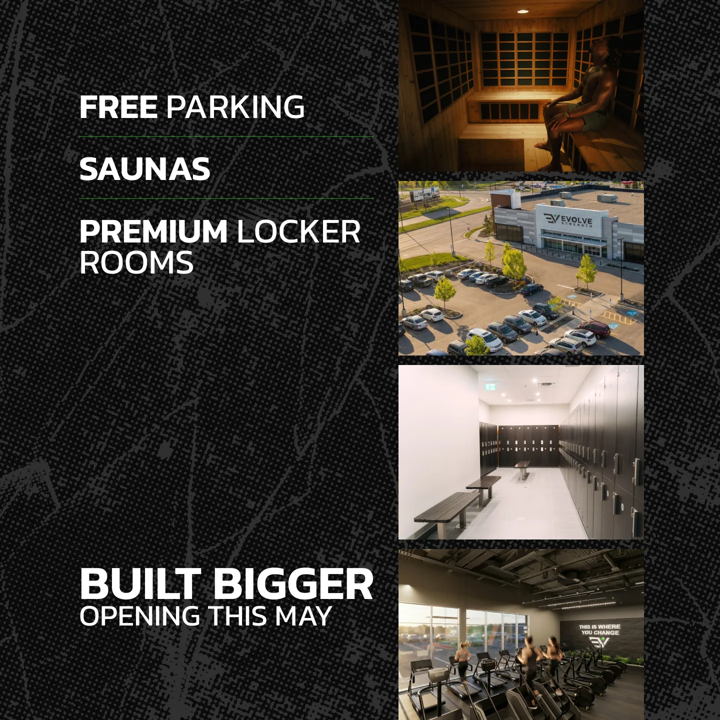Evolve Strength Ads, 1:1, image 36