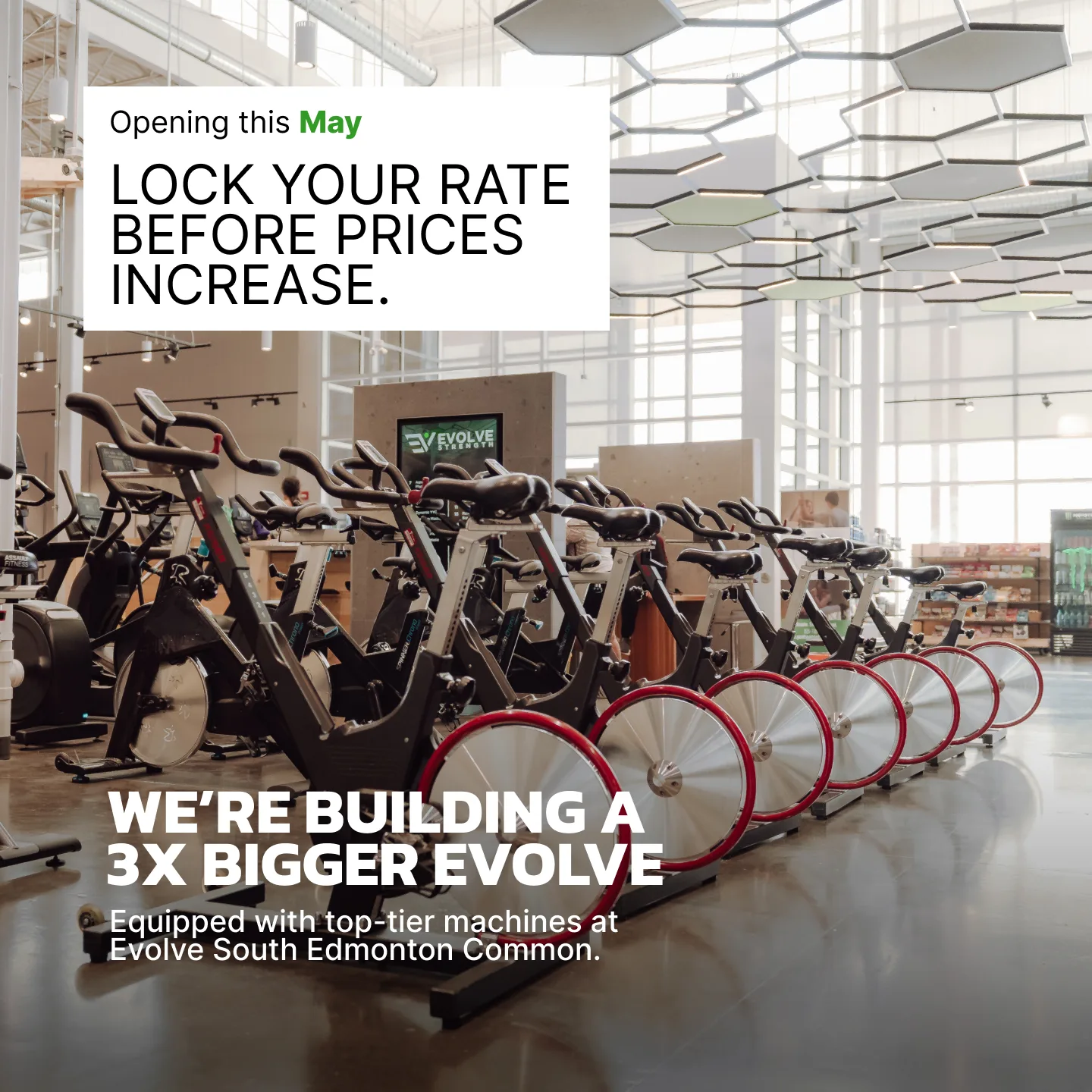 Evolve Strength Ads, 1:1, image 37