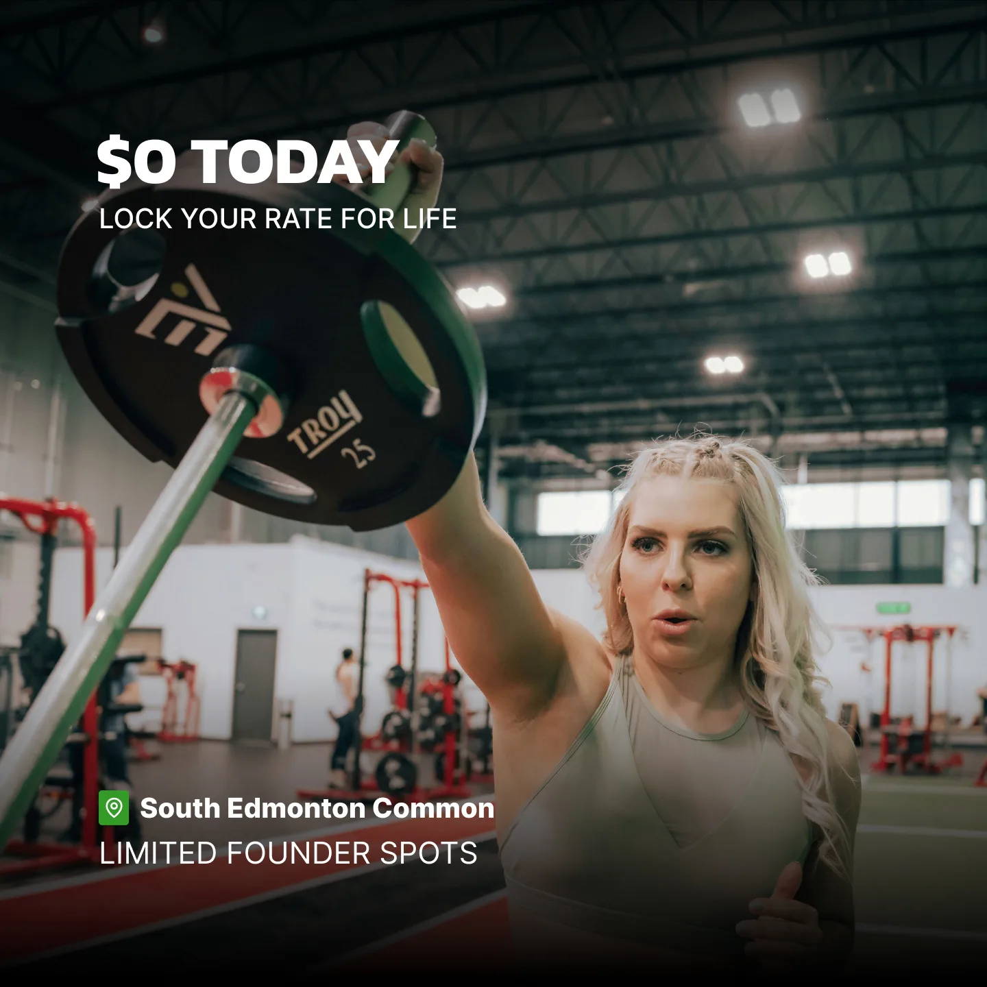 Evolve Strength Ads, 1:1, image 38