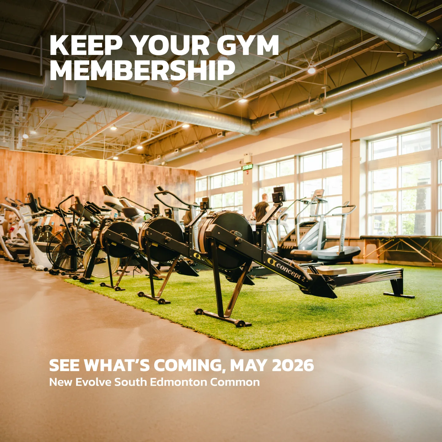 Evolve Strength Ads, 1:1, image 39