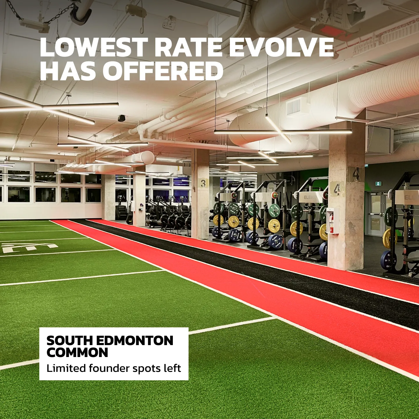 Evolve Strength Ads, 1:1, image 41