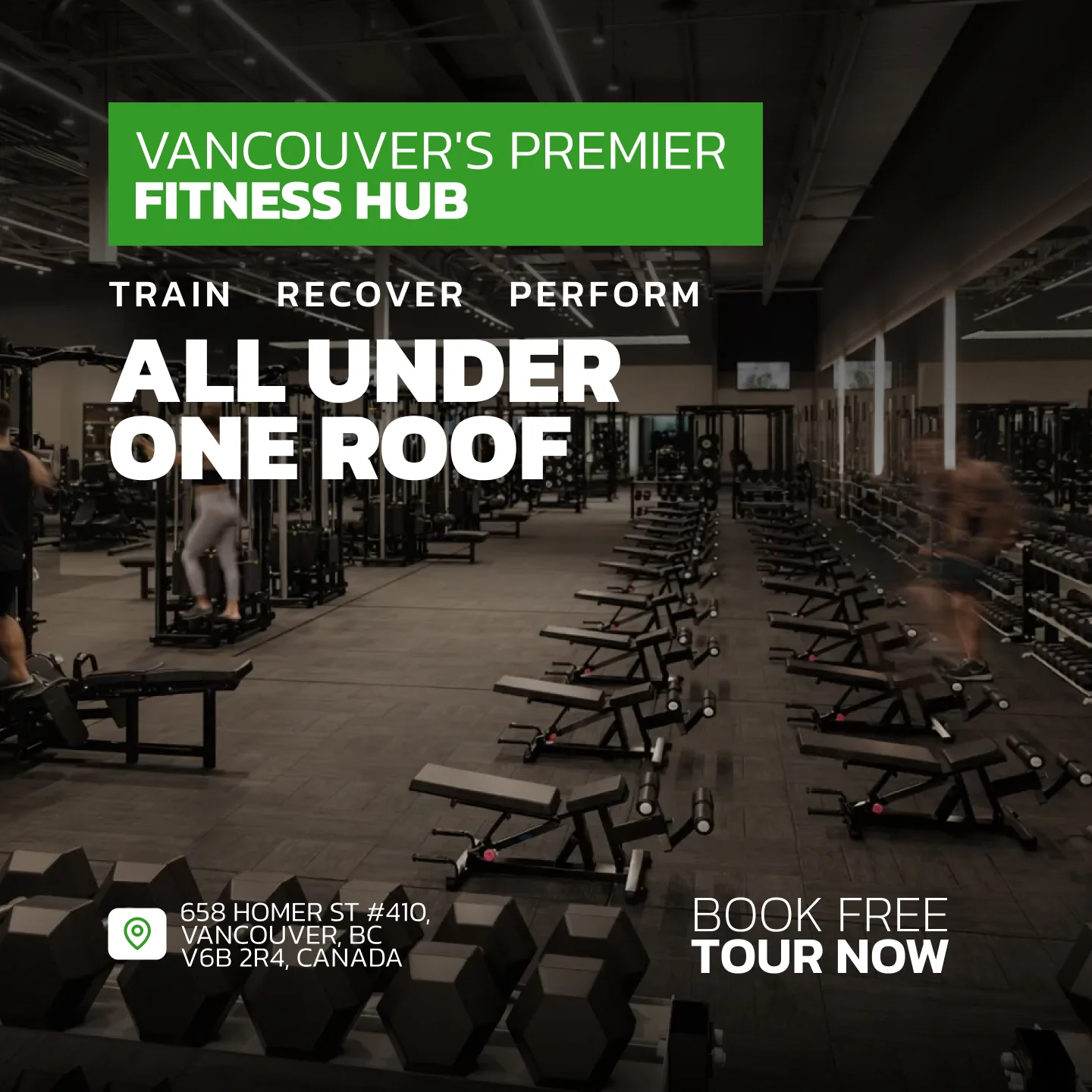 Evolve Strength Ads, 1:1, image 42