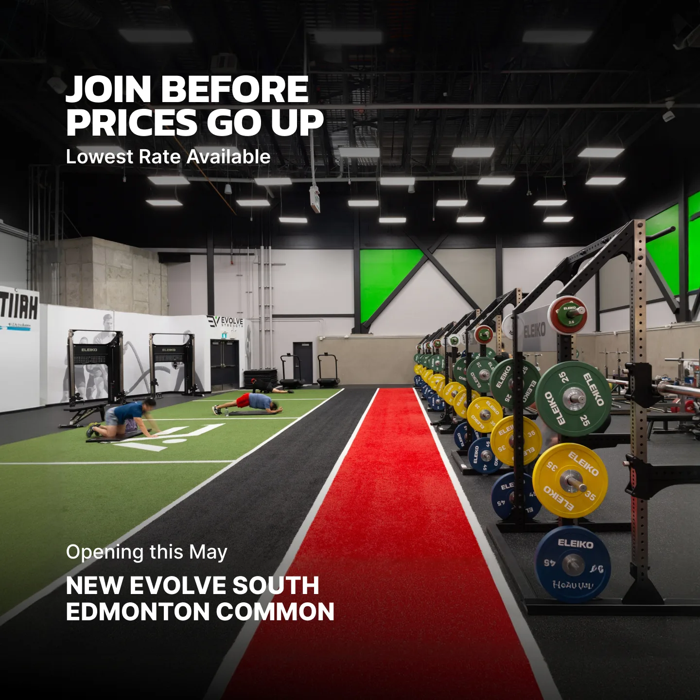 Evolve Strength Ads, 1:1, image 46