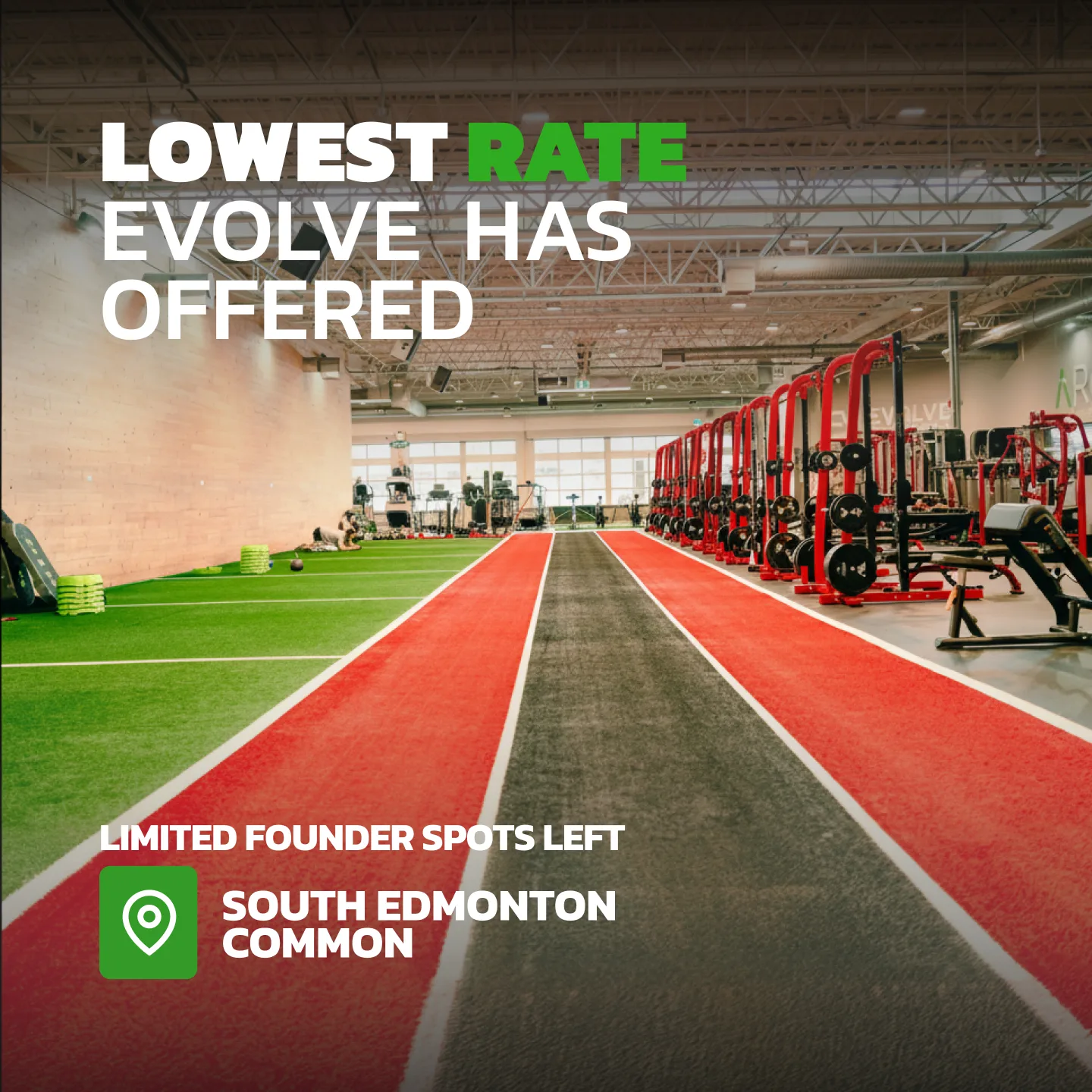 Evolve Strength Ads, 1:1, image 47