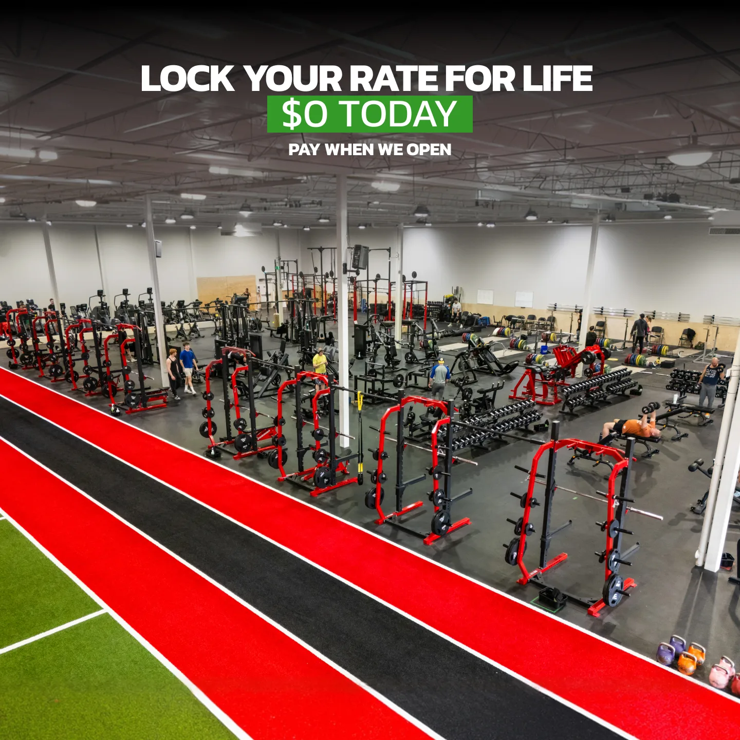 Evolve Strength Ads, 1:1, image 49