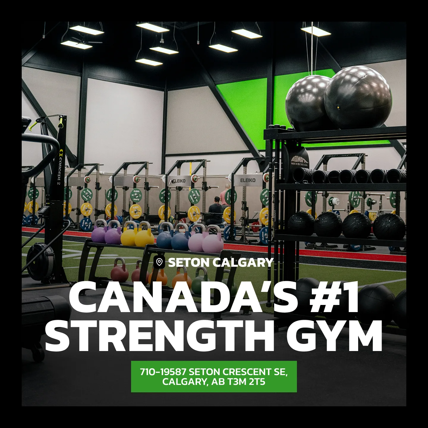 Evolve Strength Ads, 1:1, image 56