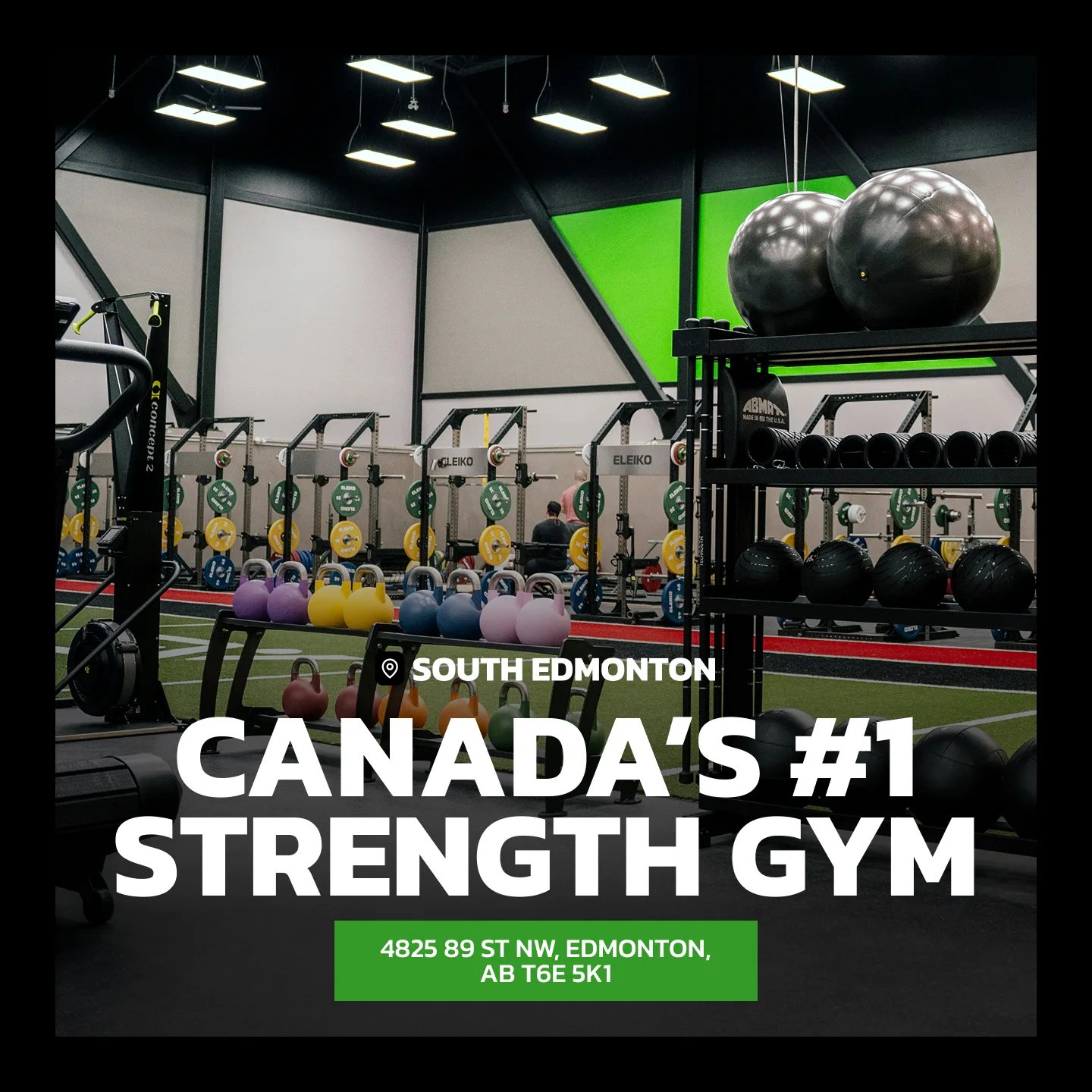Evolve Strength Ads, 1:1, image 57