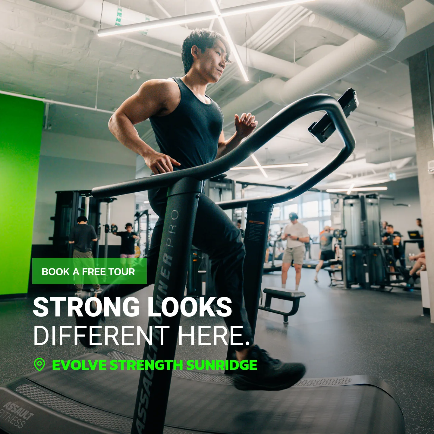Evolve Strength Ads, 1:1, image 67