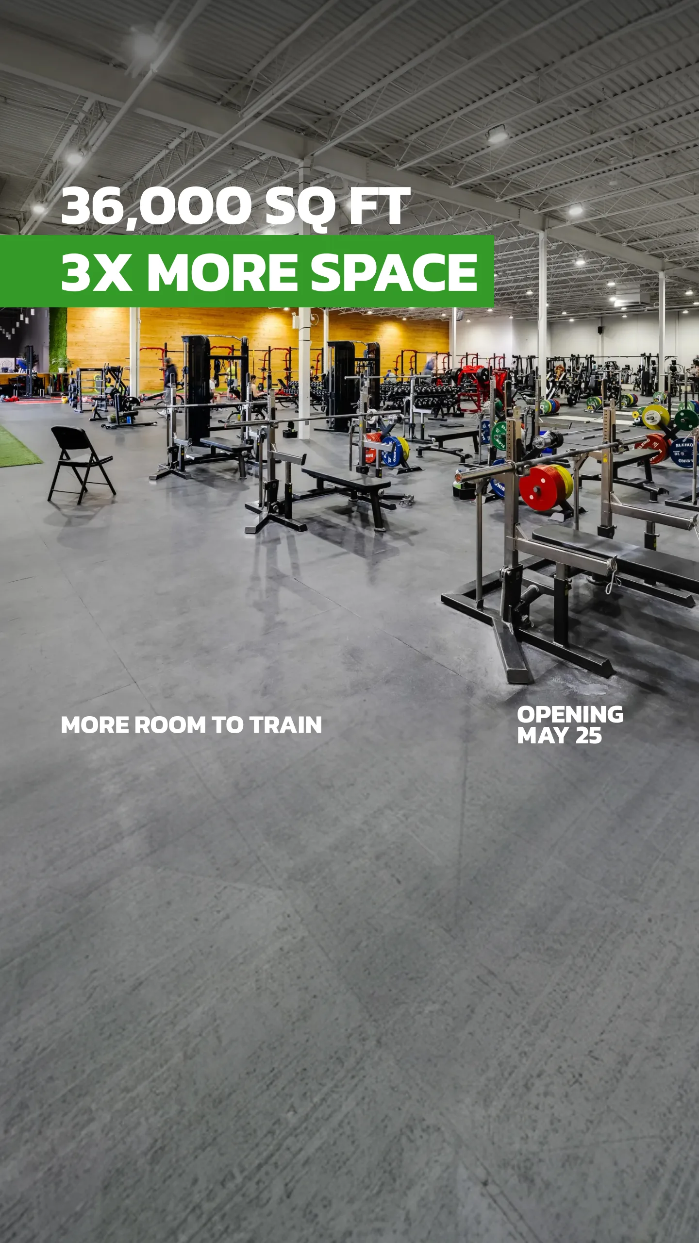 Evolve Strength Ads, 9:16, image 3