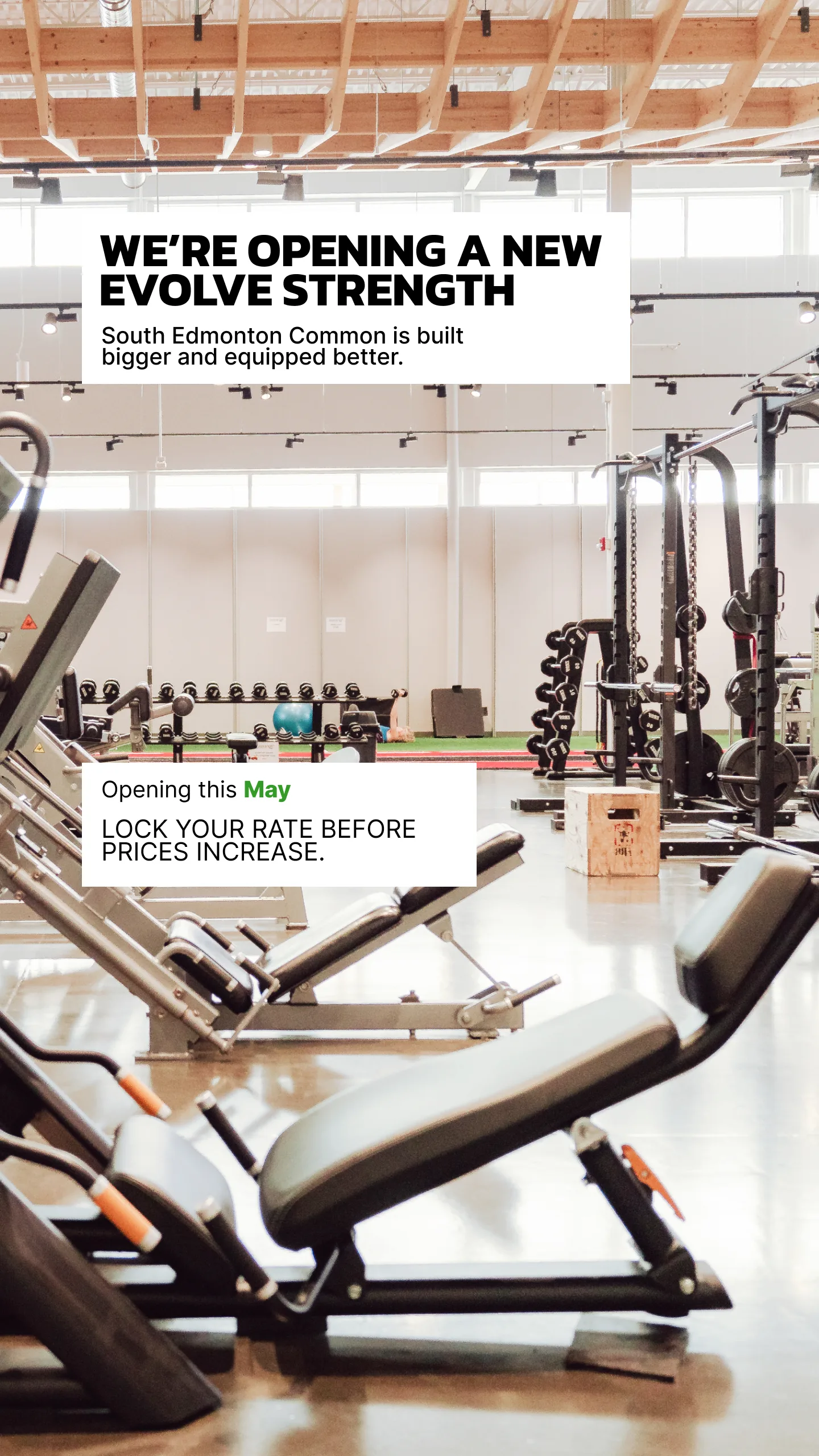 Evolve Strength Ads, 9:16, image 12