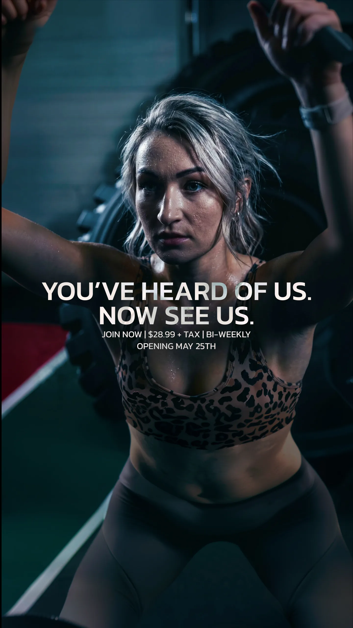 Evolve Strength Ads, image 121