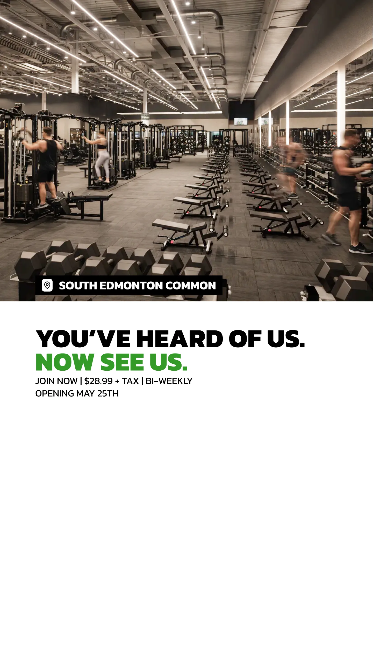 Evolve Strength Ads, image 130