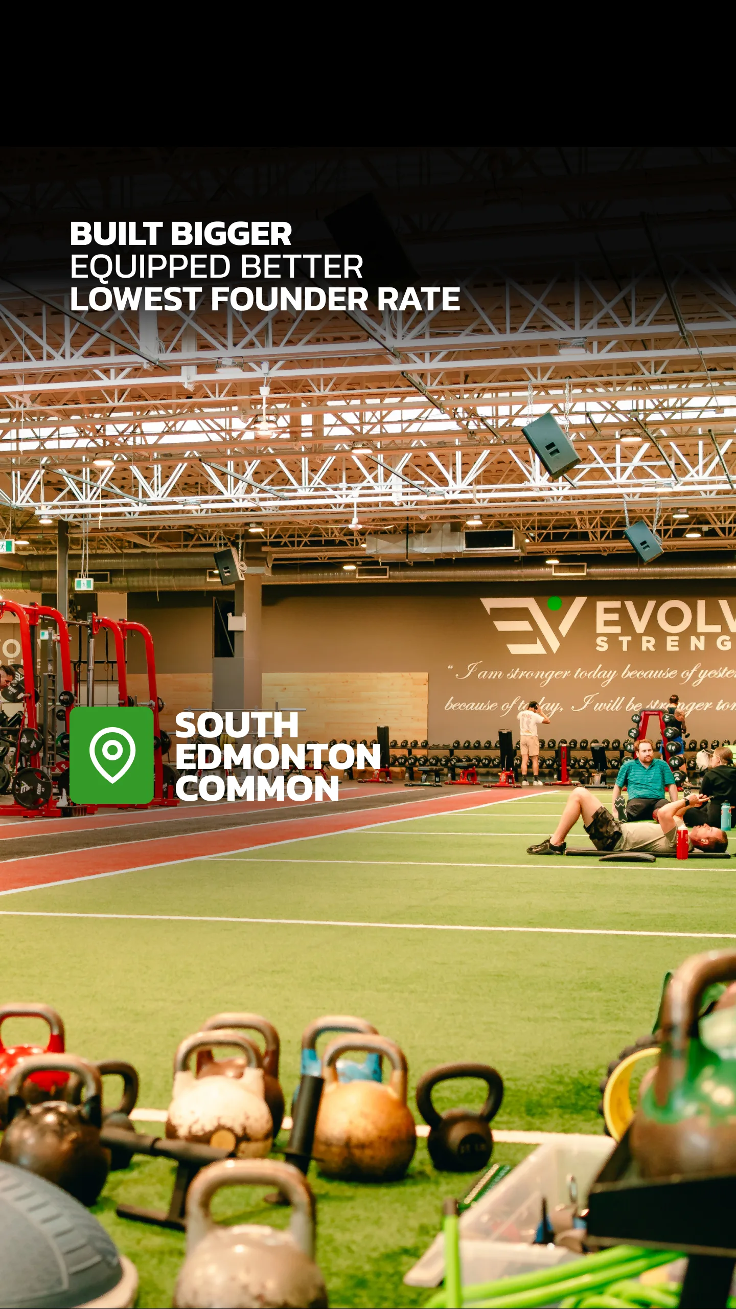 Evolve Strength Ads, image 132