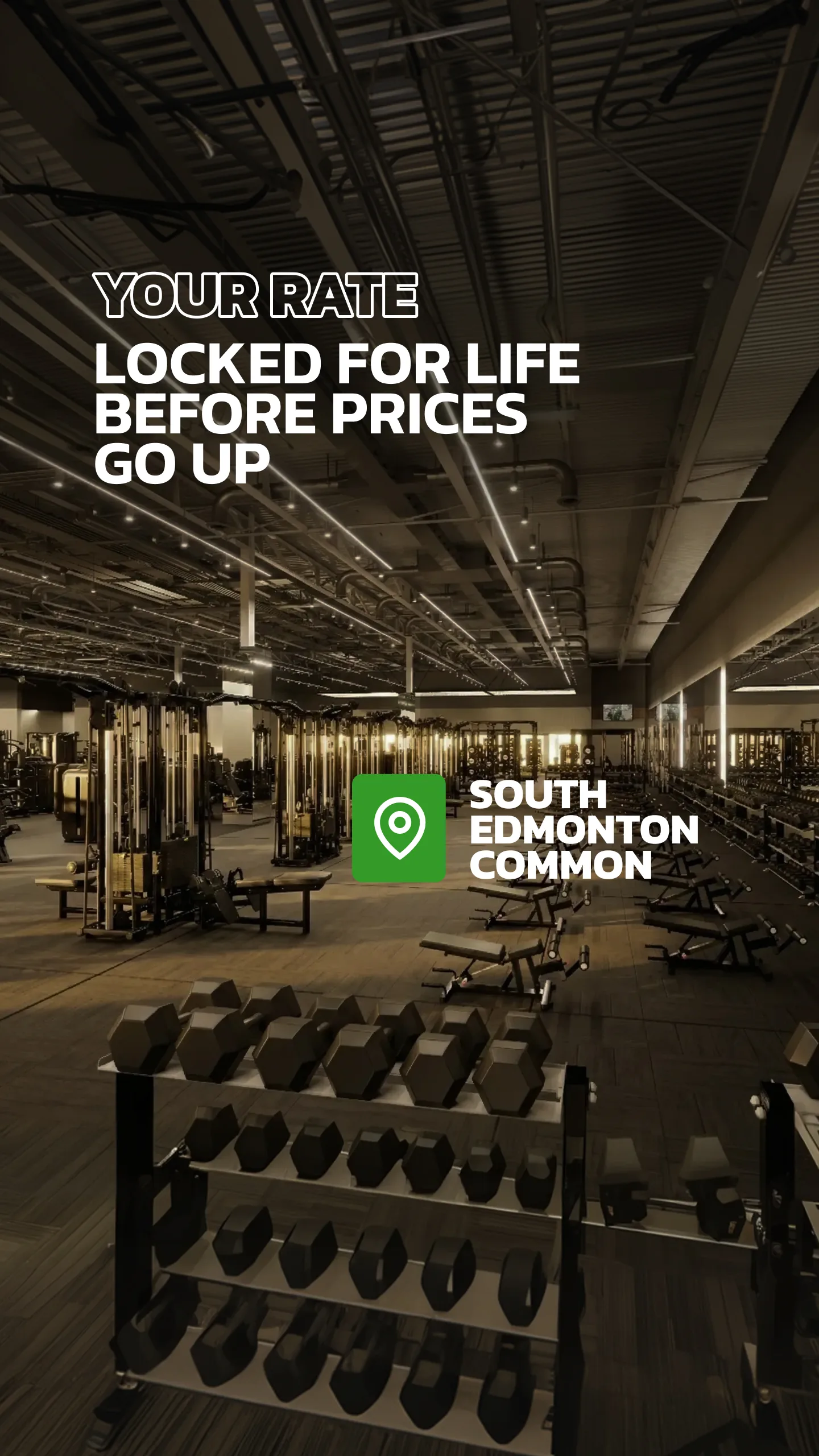 Evolve Strength Ads, image 135