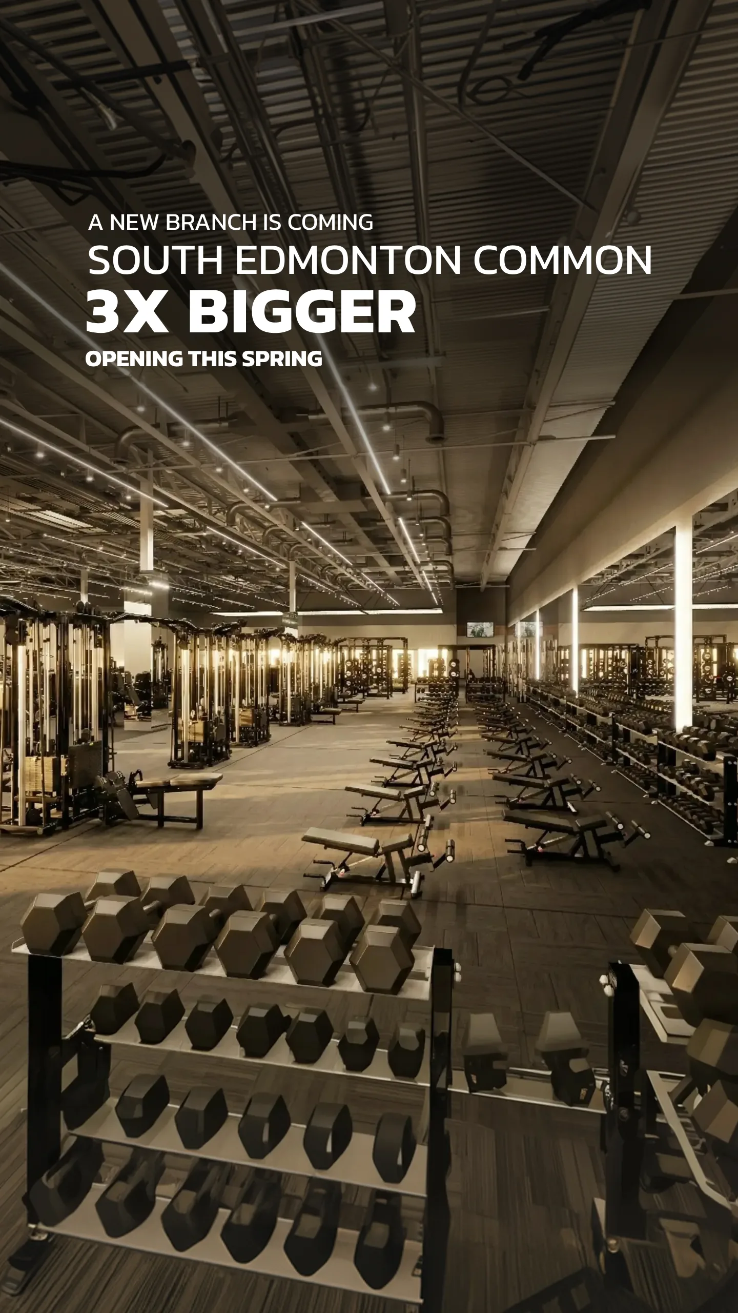Evolve Strength Ads, 9:16, image 68