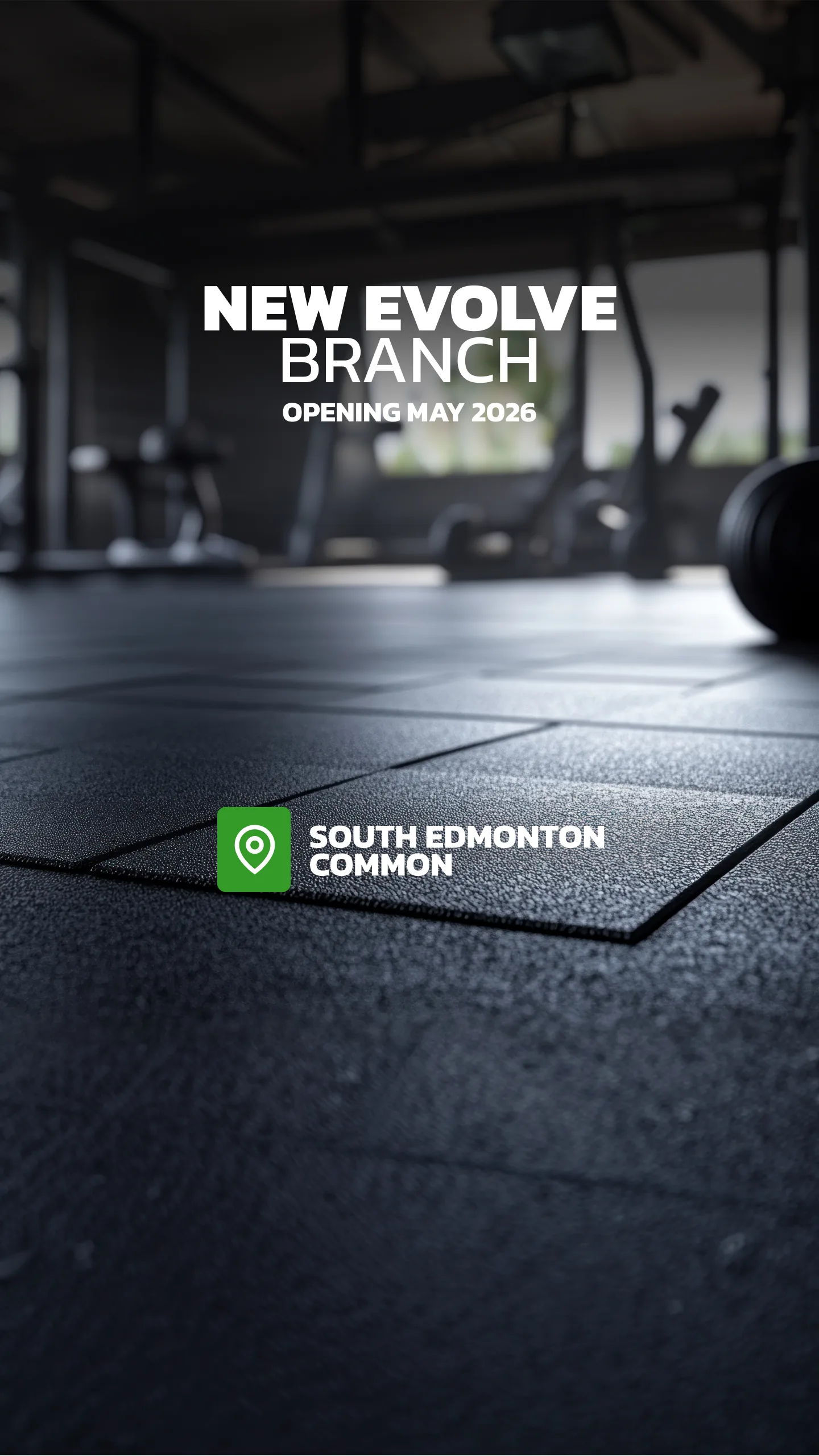 Evolve Strength Ads, 9:16, image 98