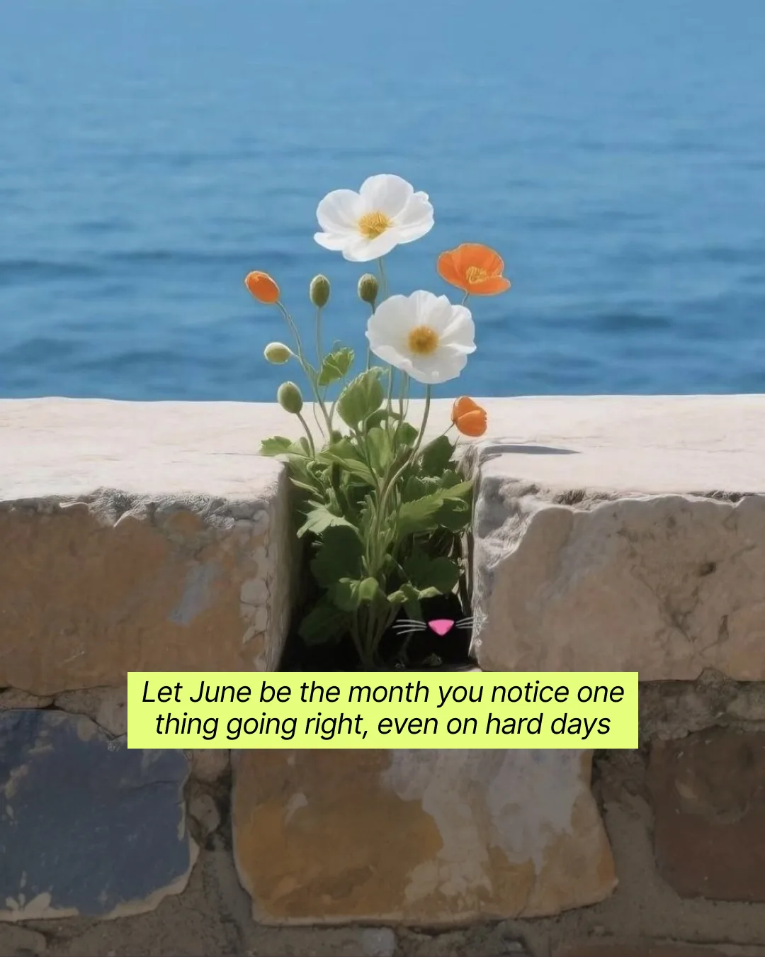 FeelAttune Social, image 35