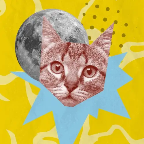 Pro Design Club, image 23